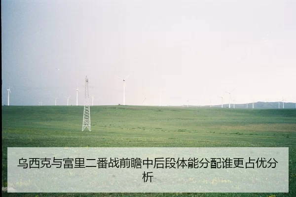 乌西克与富里二番战前瞻中后段体能分配谁更占优分析