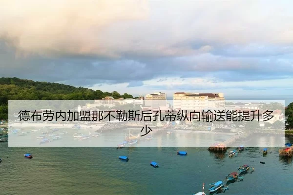 de-bu-lao-nei-jia-meng-na-bu-le-si-hou-kong-di-zong-xiang-shu-song-neng-ti-sheng-duo-shao-2-348.jpg