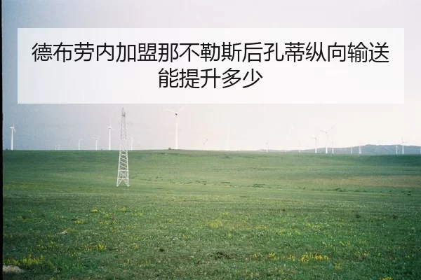 de-bu-lao-nei-jia-meng-na-bu-le-si-hou-kong-di-zong-xiang-shu-song-neng-ti-sheng-duo-shao-1-434.jpg