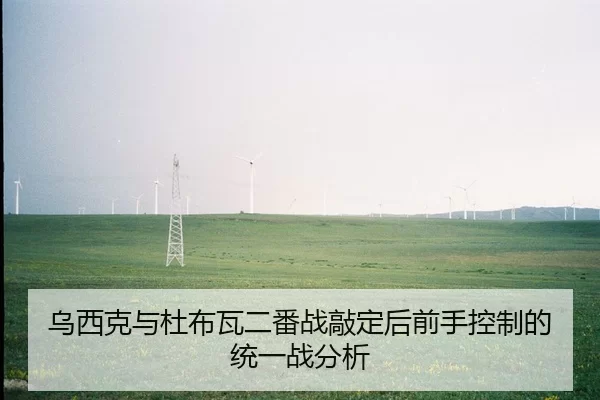 wu-xi-ke-yu-du-bu-wa-er-fan-zhan-qiao-ding-hou-qian-shou-kong-zhi-de-tong-yi-zhan-fen-xi-2-465.jpg