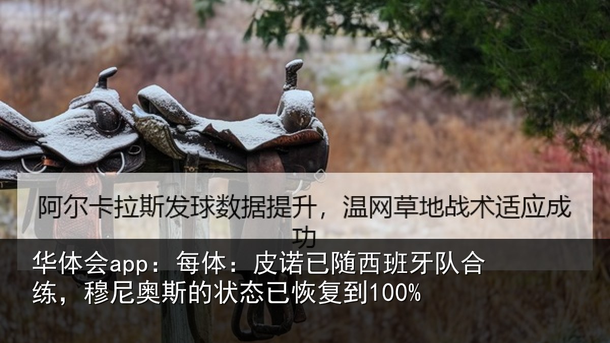 华体会app:每体:皮诺相关情况,穆尼相关情况到100%