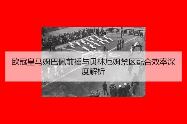 ou-guan-huang-ma-mu-ba-pei-qian-cha-yu-bei-lin-e-mu-jin-qu-pei-he-xiao-lv-shen-du-jie-xi-2-311.jpg