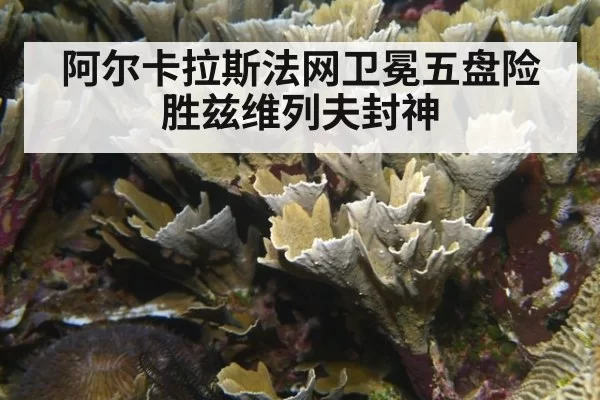 阿尔卡拉斯法网卫冕五盘险胜兹维列夫封神